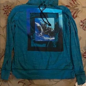 Teal/Blue American Eagle Hoodie